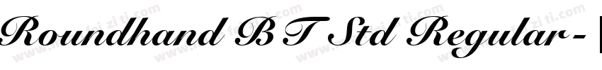 Roundhand BT Std Regular字体转换